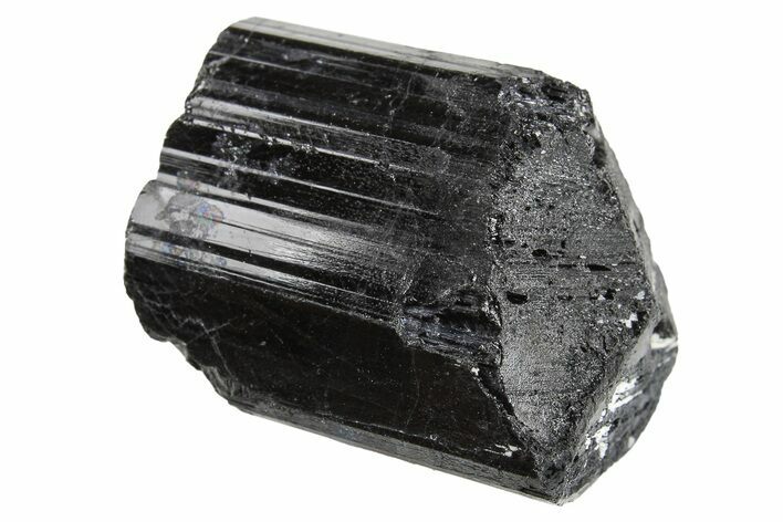 Terminated Black Tourmaline (Schorl) Crystal - Madagascar #295015